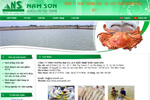 namsonaft.com